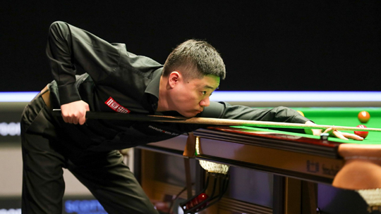 反应速度不 反应速度不