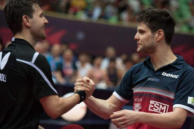 提升了智力 提升了智力